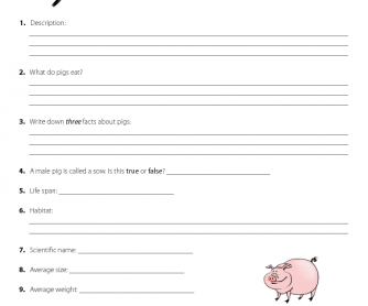 Chinese New Year: Research Activity - Pig