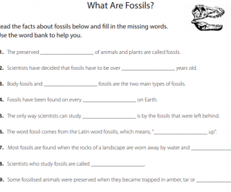 What are Fossils?