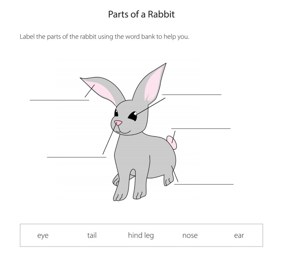 Rabbits have got long. Кролик Worksheets. Body Parts Rabbit. Inscription карта кролика. Кролик лейбл.