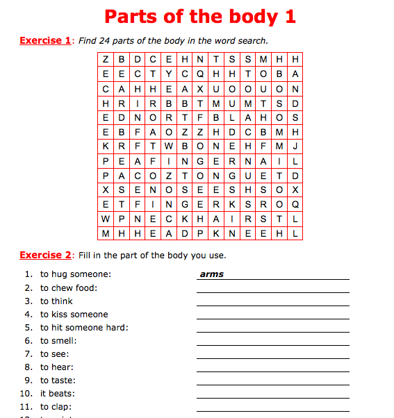 parts of the body 1 worksheet