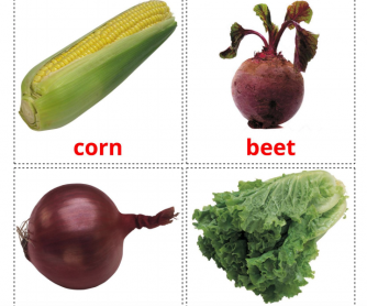 29 Realistic Vegetables Flashcards