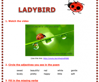 Ladybird Song Worksheet