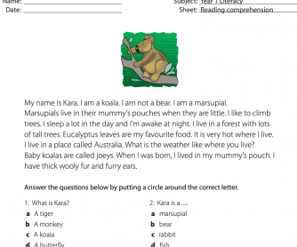 Reading Comprehension - I Am A Koala