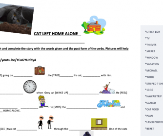 Cat Left Home Alone Video Worksheet