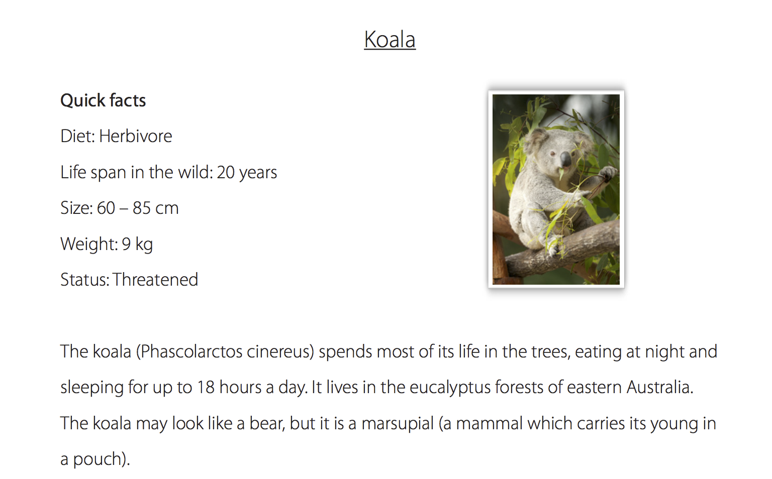 Reading Comprehension - Facts About Koalas