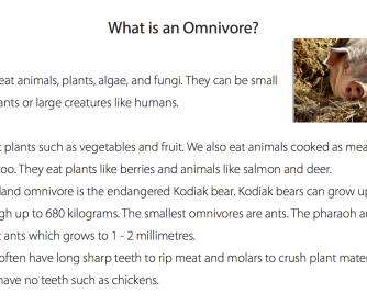 Reading Comprehension - What Is An Omnivore?