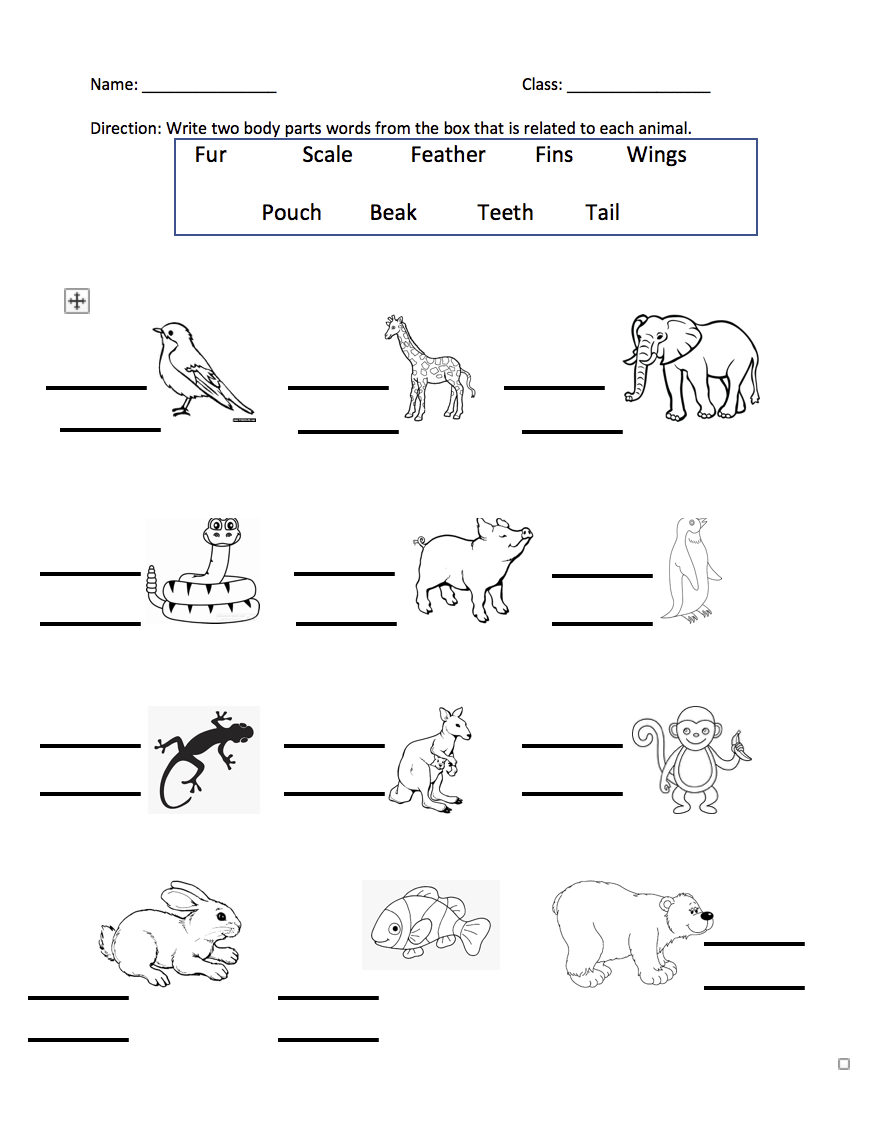 Animal Body Parts - Grade 2 Worksheet