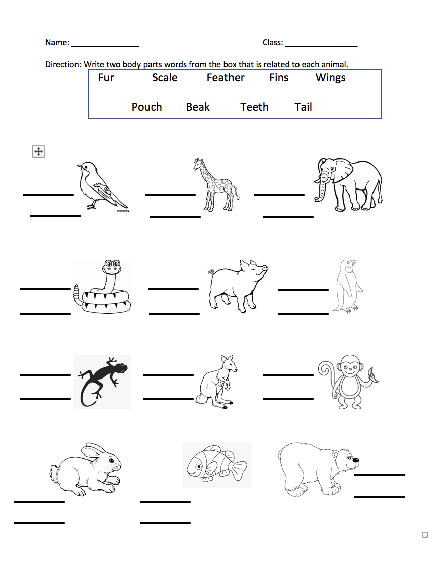 Animal Body Parts Coloring Pages