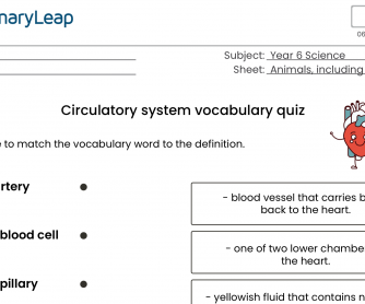 Circulatory System Vocabulary Quiz