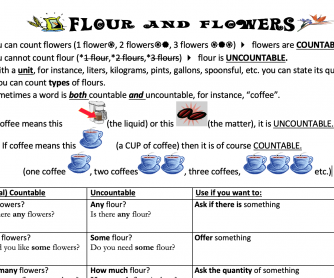 Flour and Flowers (quantifiers/countable/uncountable)