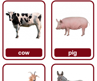 Farm Animal Flashcards with real images